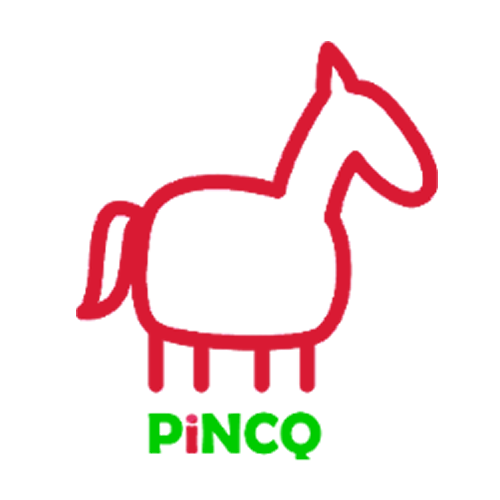 PiNCQ Assessments