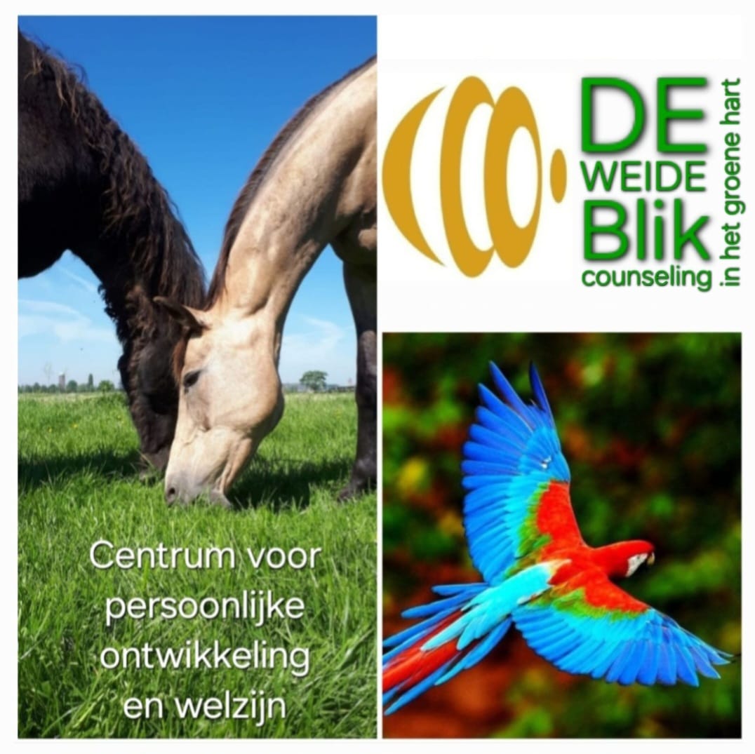 De weide blik in het Groene hart